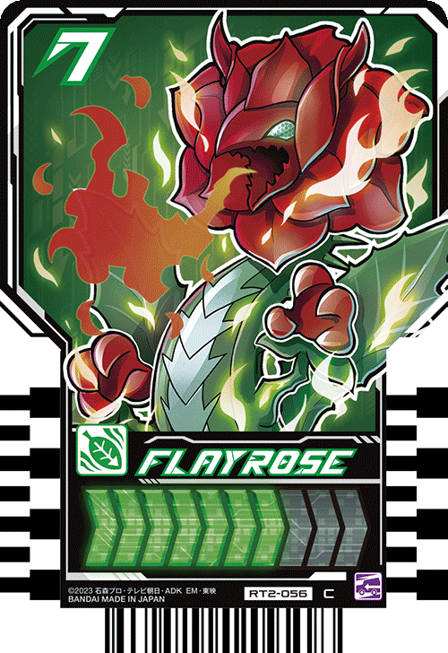 FLAYROSE